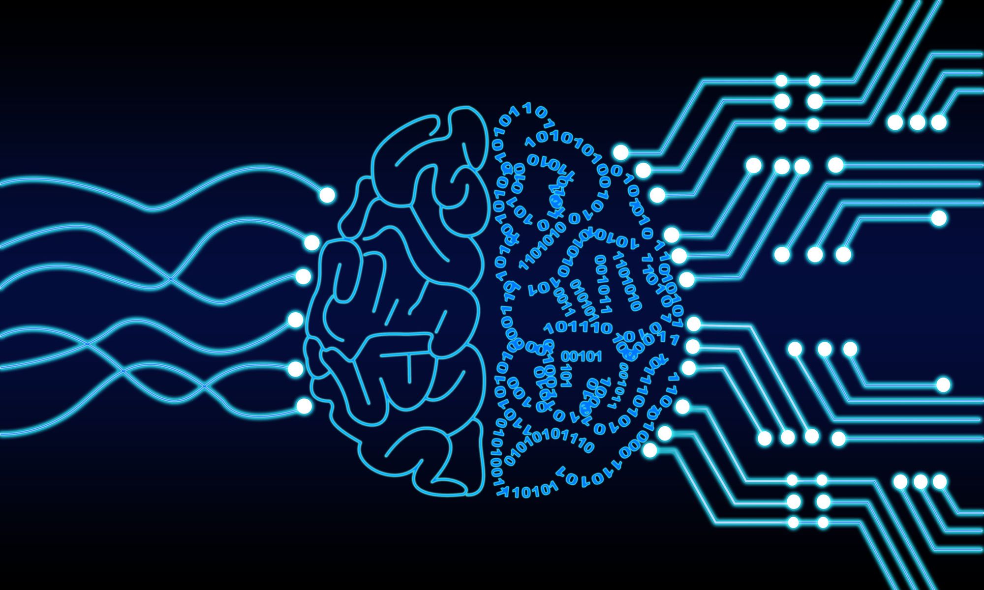 👾 Career choices & opportunities in Computer Science / Information Technology