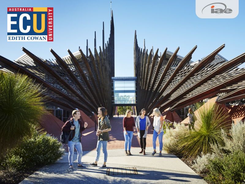 🦘 Regional Universities in Australia and Why You Should Consider Them As Your First Choice