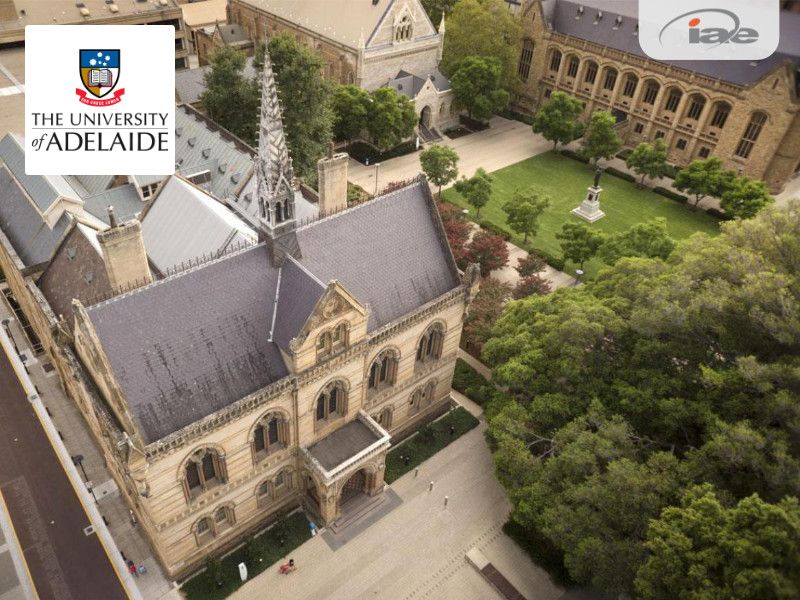 🦘 Regional Universities in Australia and Why You Should Consider Them As Your First Choice